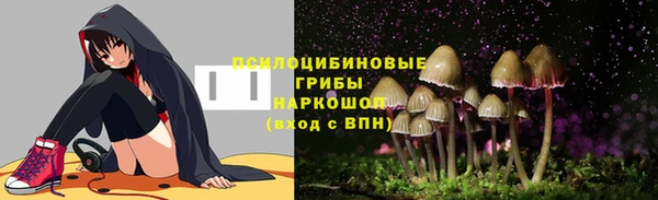 a pvp Абаза