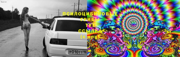 a pvp Абаза
