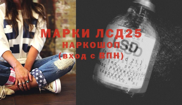 СК Саяногорск