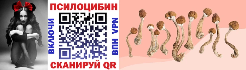 omg   Агидель  Галлюциногенные грибы ЛСД 